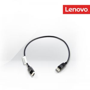 [0B47396] CABLE_BO Tiny PC 0.5m DP Cable