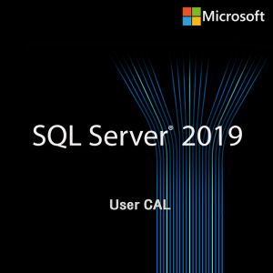 [CSP] SQL Server 2019 - 1 User CAL Commercial License