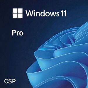 [CSP] Windows 11 Pro