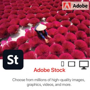 Adobe Stock for teams (Large) Multiple Platforms 1Yr