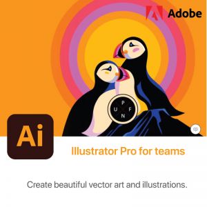 Illustrator Pro for teams Multiple Platforms 1Yr