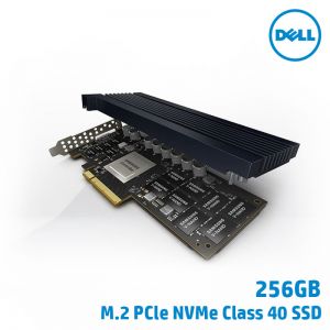 [SNS400-BGXQ] 256GB PCle NVMe Class 40 SSD