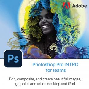 Photoshop Pro INTRO for teams Multiple Platforms 1Yr
