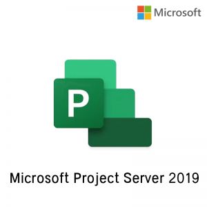 Project Server 2019 Commercial