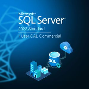 SQL Server 2022 - 1 User CAL Commercial