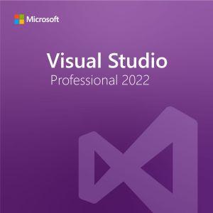 Visual Studio Professional 2022
