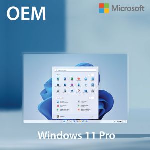 [OEM] Windows 11 Pro 64-bit Eng Internatonal 1pk DSP OEI DVD