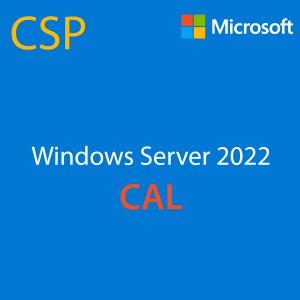 [CSP] Windows Server 2022 Client Access License - 1 User CAL Commercial License